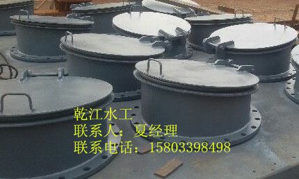 钢制拍门