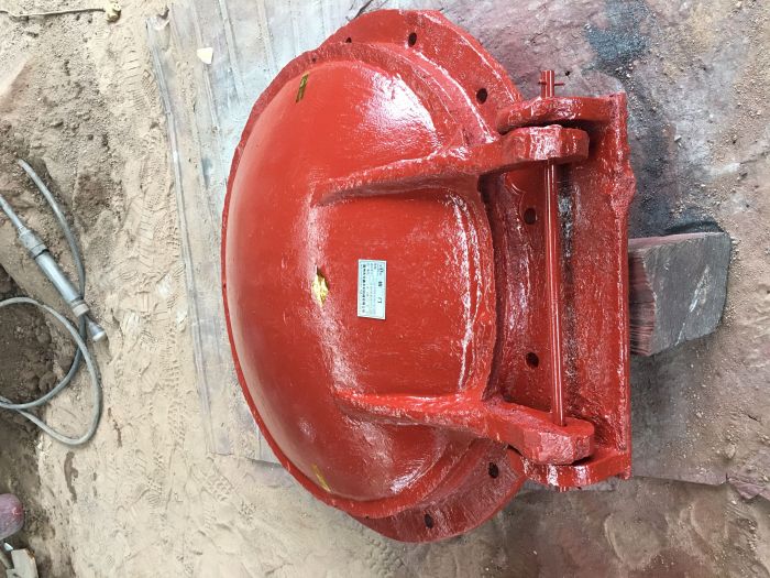 DN200铸铁拍门